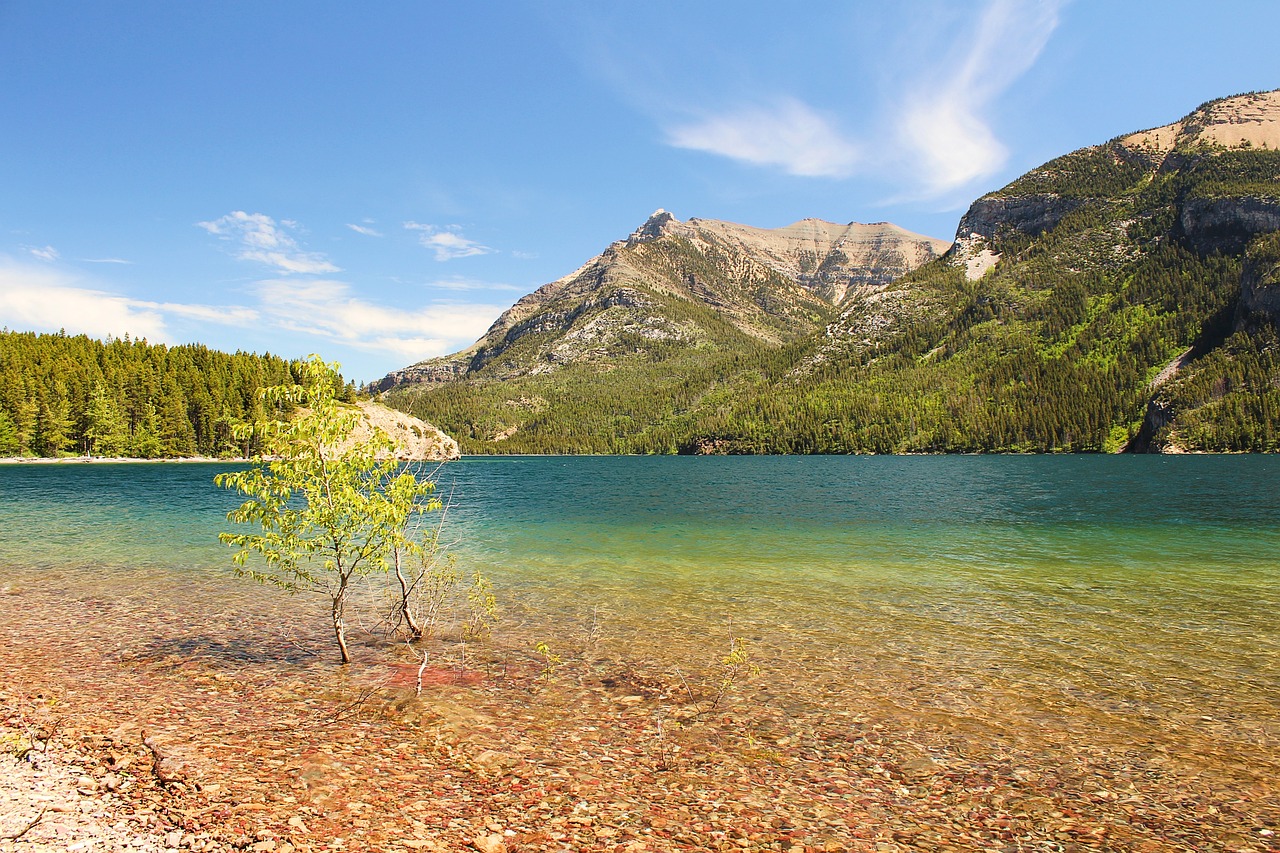 전북 정읍 가족여행 추천 관련 사진