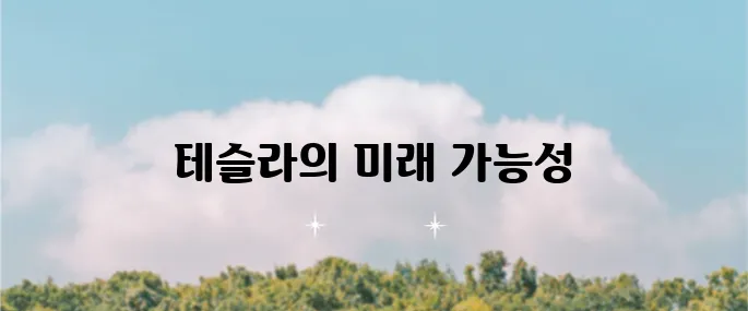 테슬라 장기 투자 : 미래를 위한 현명한 선택입니다