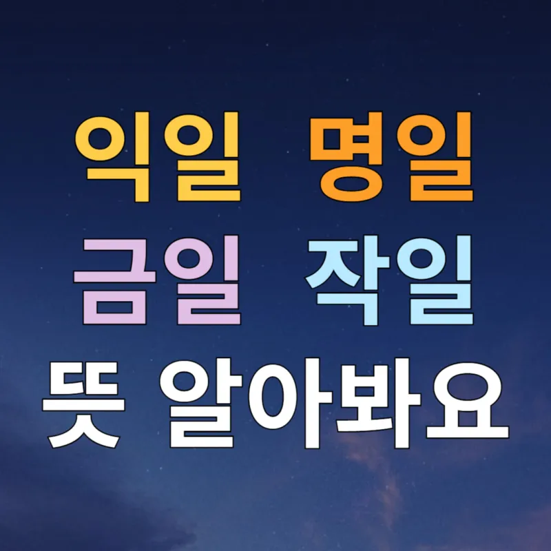 명일 뜻 익일 작일 금일 내일 전일 어제 차일 정리_8