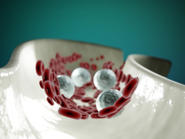 혈관에 피가 도는 이미지