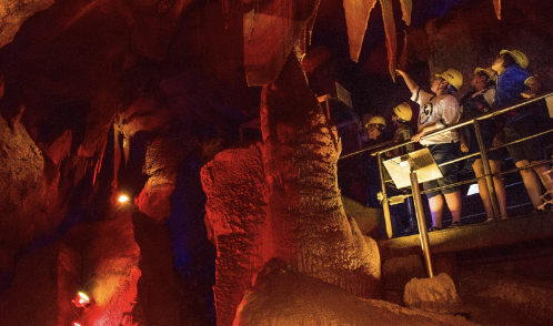 천곡황금박쥐동굴