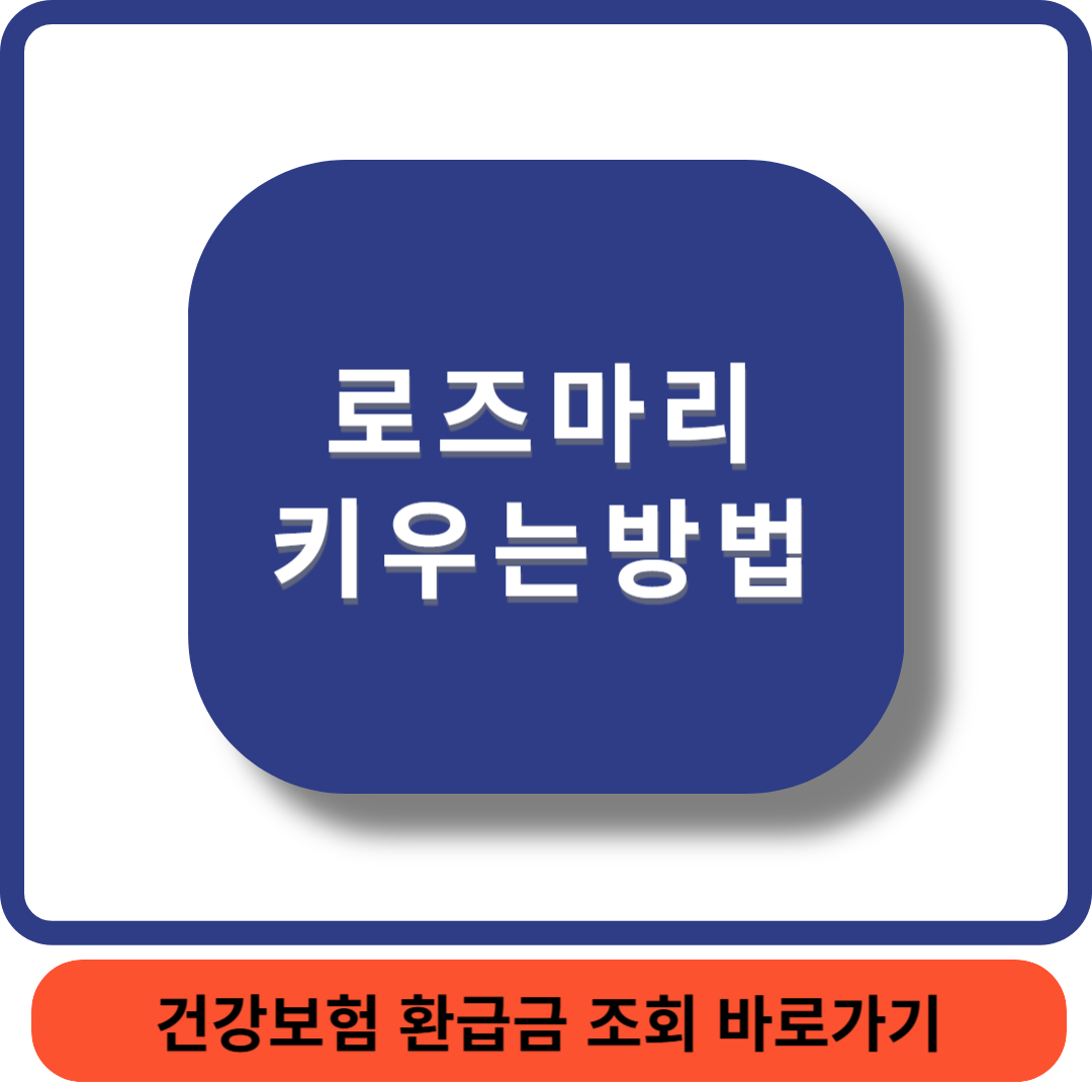 로즈마리 썸네일