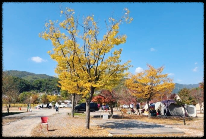 대성리토마토캠핑장_전경