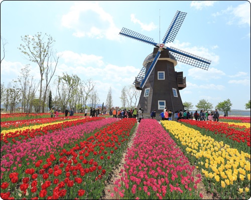 순천 정원박람회 입장료