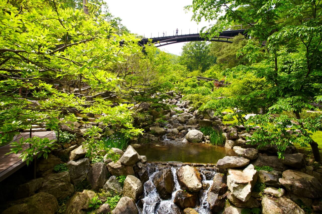 화담숲 예약