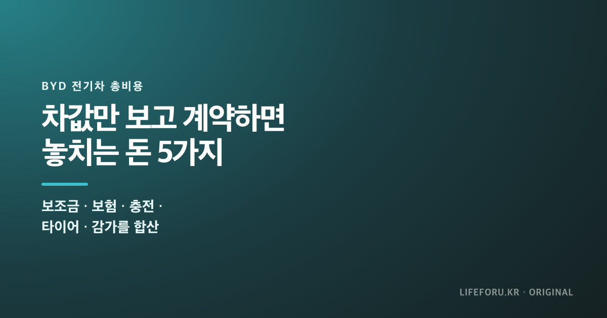 BYD 돌핀 2450만원 구매비용 보조금 보험 충전비 계산