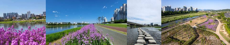 금호강 둔치 및 생태공원 일대 모습