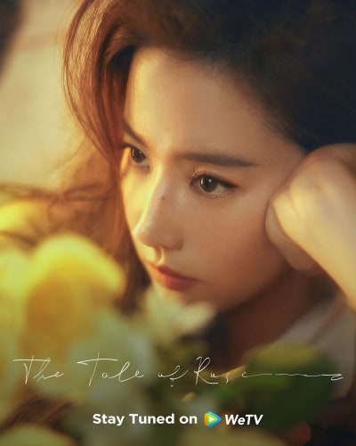 매괴적고사(玫瑰的故事) 유역비