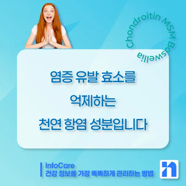 콘드로이친&amp;#44; MSM&amp;#44; 보스웰리아 조합 효능