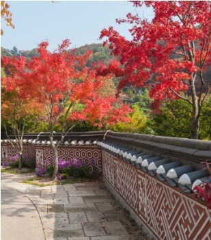 화담숲 담장길