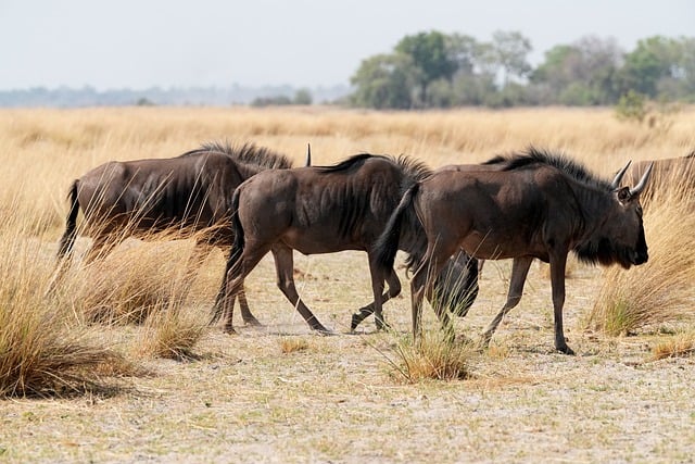 40대 여자선물 추천