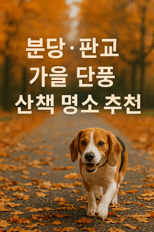 반려견과 함께 떠나는 분당&middot;판교 가을산책 단풍명소 추천 : 탄천산책로&middot;율동공원&middot;판교생태공원