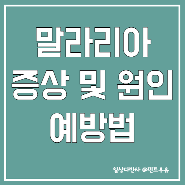 말라리아 증상 및 원인 예방법