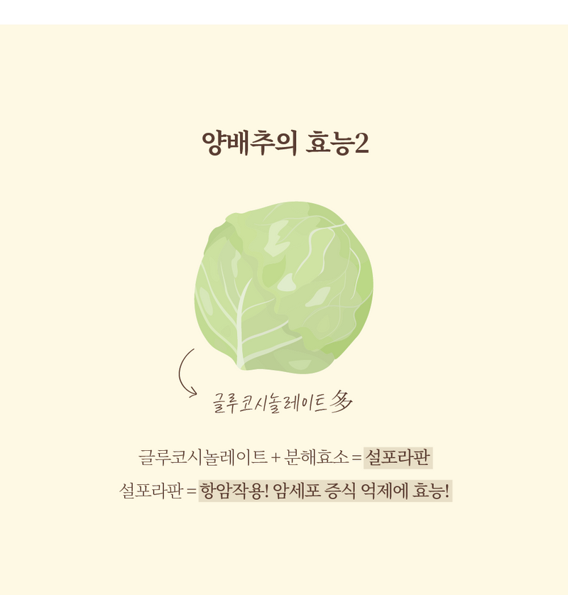 양배추의 효능/ 출처 - https://wtable.co.kr/guide/63027