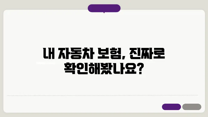 자동차보험 갱신 및 관리