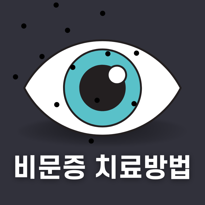 비문증 치료방법