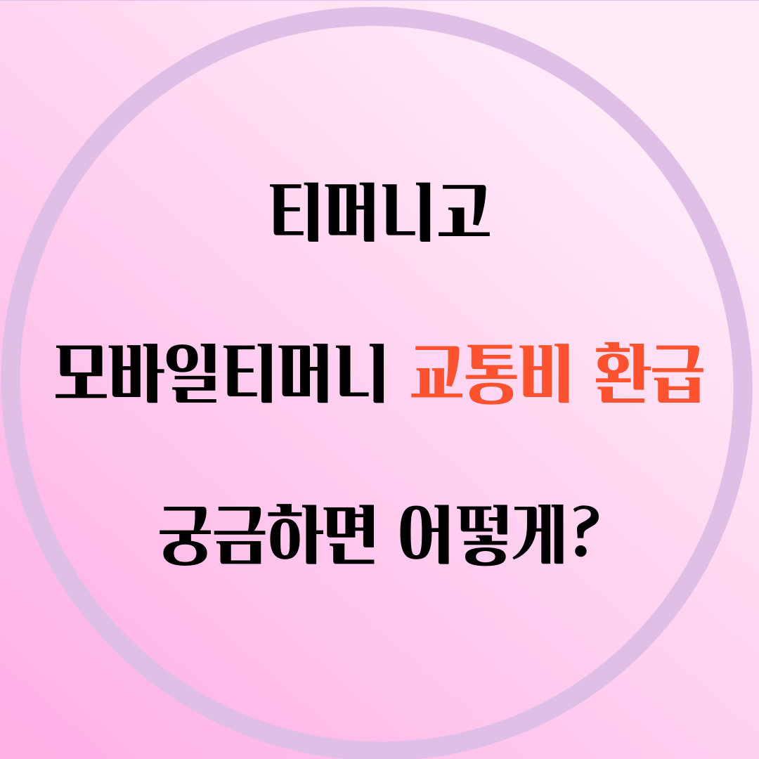 티머니교통비환급