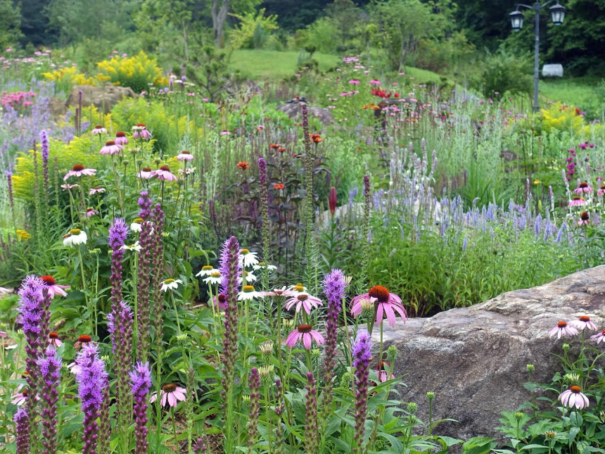 특색있고 아름다운 민간 정원 30선 추천 여행 - 12. 인제 찍박골 정원