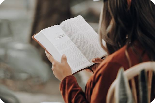 독서