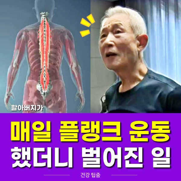 플랭크 운동 효과, 생로병사의 비밀, 플랭크 30일
