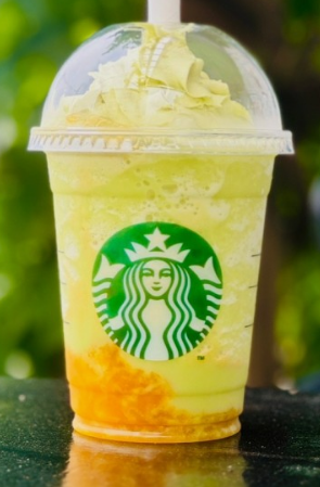 2024년 7월 스타벅스 신메뉴 TOP 9가지
