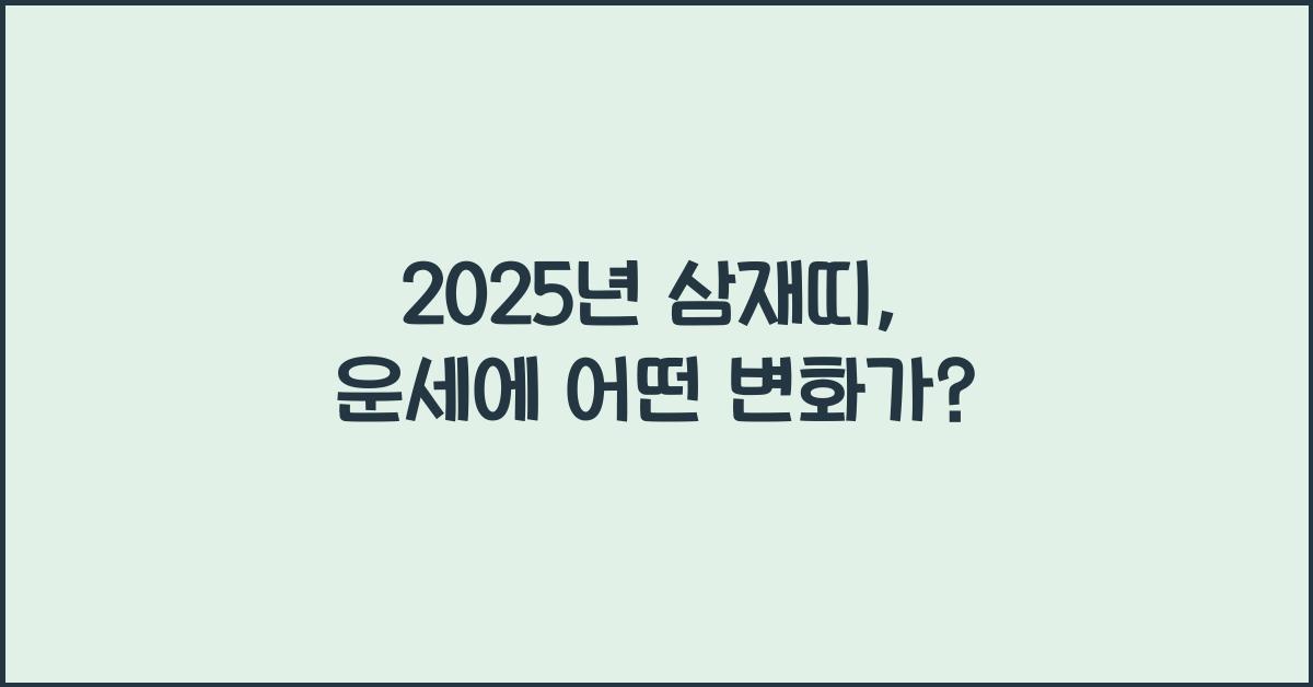 2025년 삼재띠