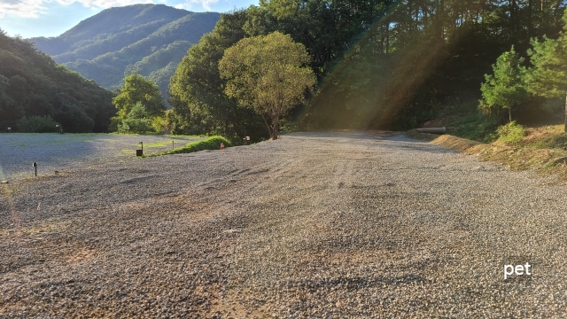 경기-연천-숲속의쉼터-캠핑장-예약-방법-애견-동반-가격-주소-시간-후기