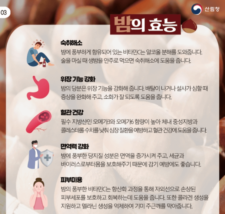 밤 효능