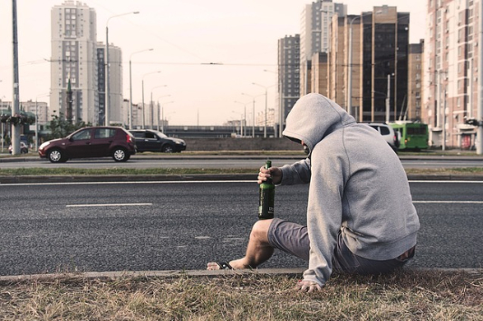 매실 효능 숙취 해소