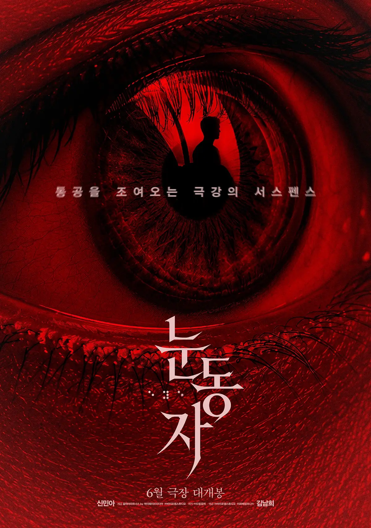 신민아 영화 눈동자 1인 2역 개봉일 예고편 줄거리 출연진 원작