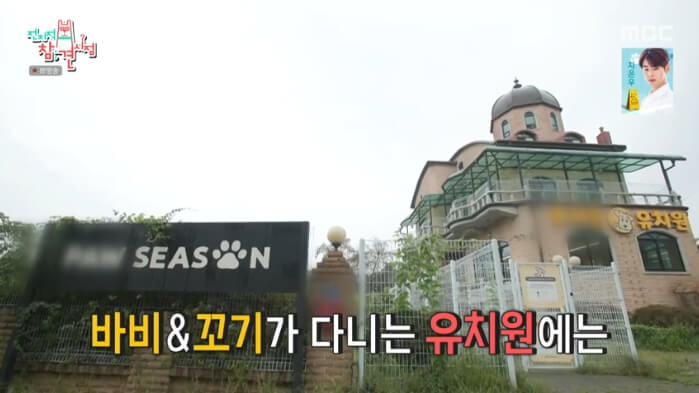 전참시-강아지유치원