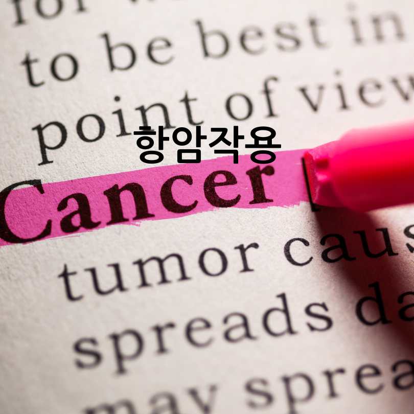 커큐민 효능 부작용