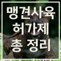 맹견사육허가제