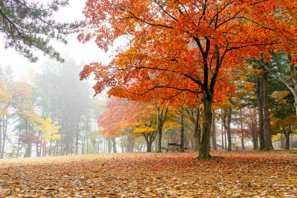 비 오는 날 제주도 올레길 추천 코스 3가지