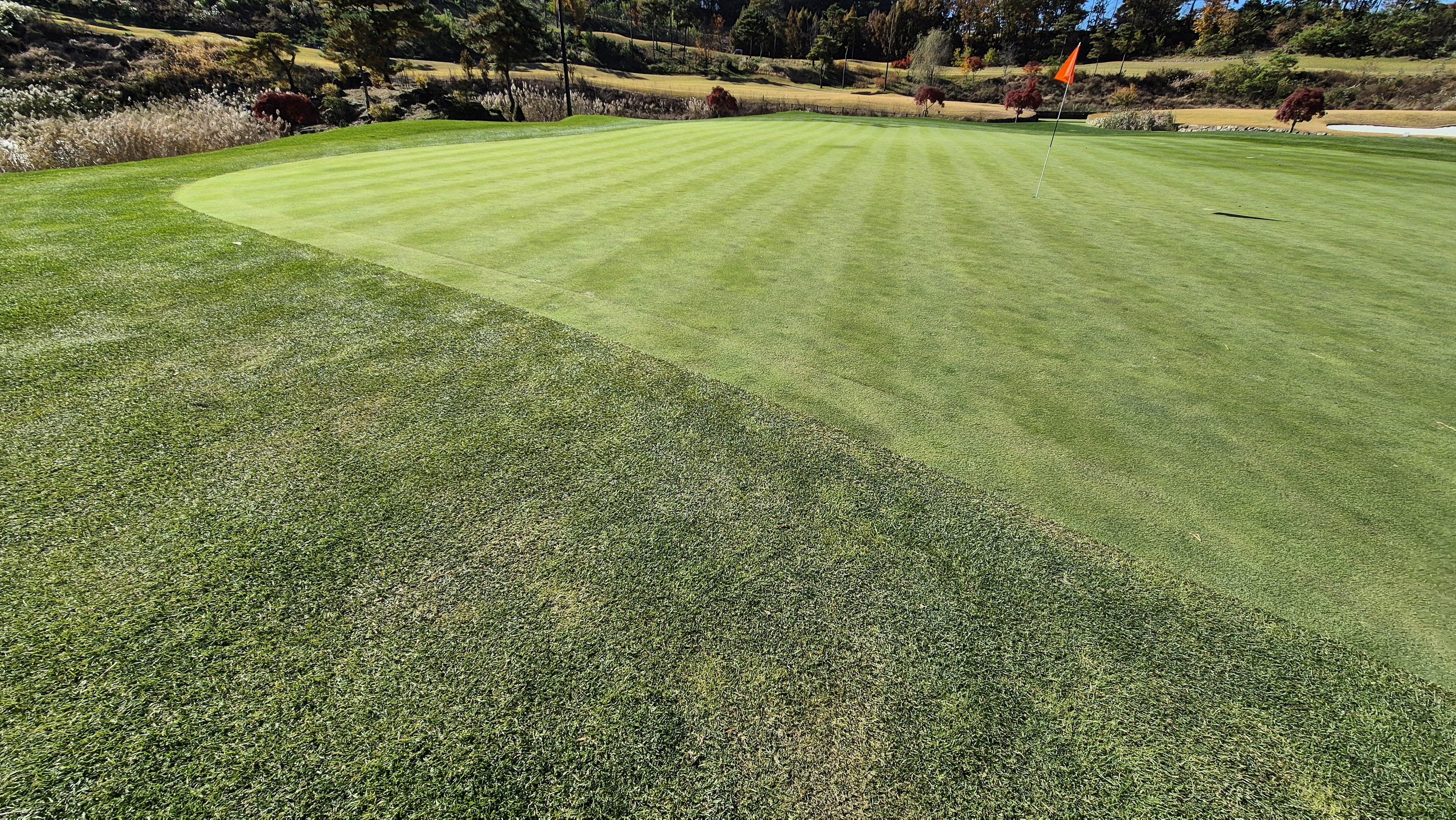 레이캐슬cc 그린관리상태