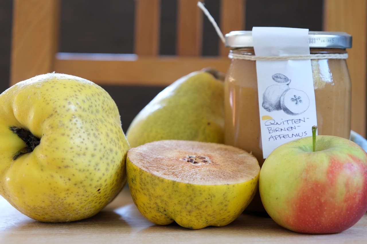 지상권이란 무엇인가? 법정지상권까지 반드시 알아야 할 부동산 권리 핵심 정리