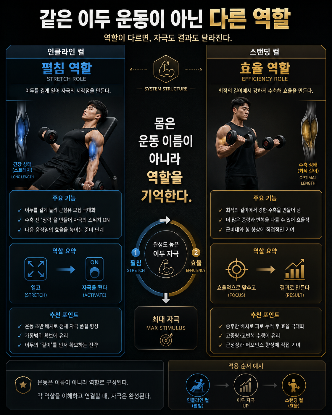 같은 이두 운동이 아닌 다른 역할