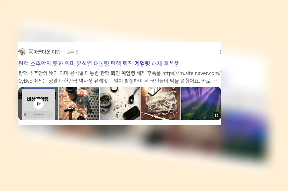 계엄령_3_subsection