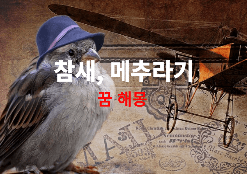 참새, 메추라기, 금시조 꿈은 어떤 의미가 있을까요? ( 무료 꿈 해몽 풀이 )