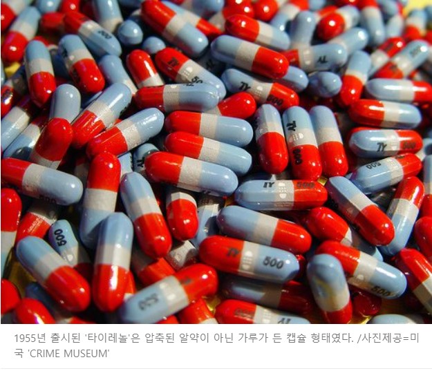 로멜라인장용정