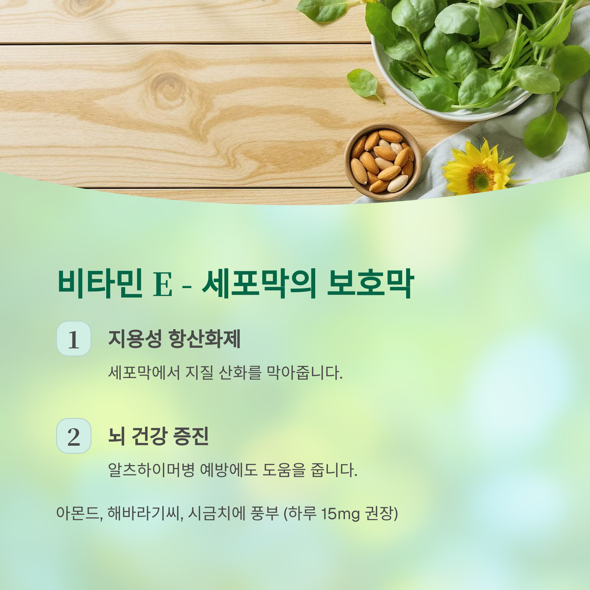 비타민 E – 세포막을 지키는 보호막