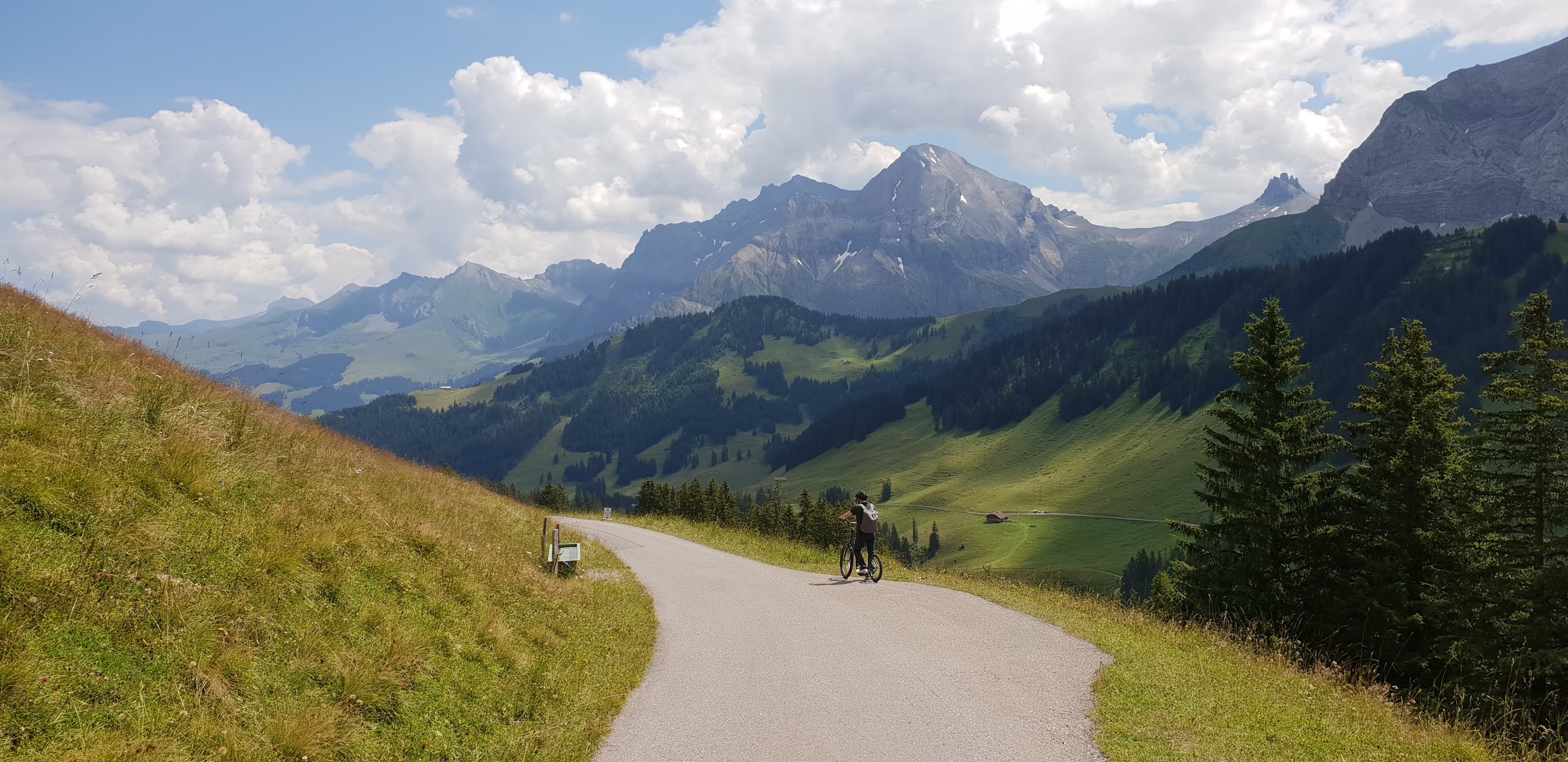 스위스 아델보덴 트로티바이크