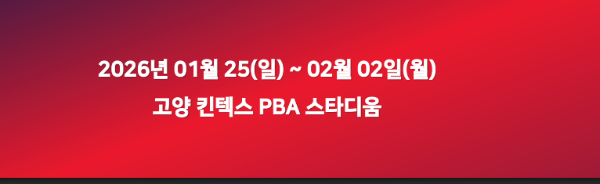 경기일정