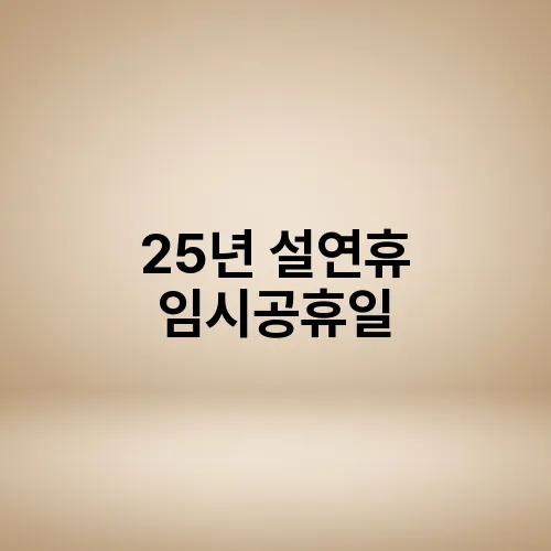 25년 설연휴 임시공휴일