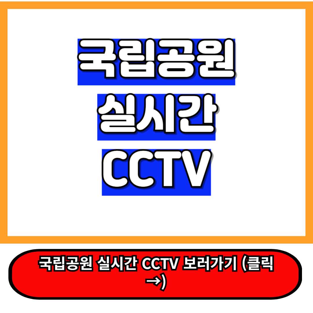 국립공원 실시간 CCTV 모바일, PC 로 날씨, 현재 상황 확인하는 꿀팁 정리 A