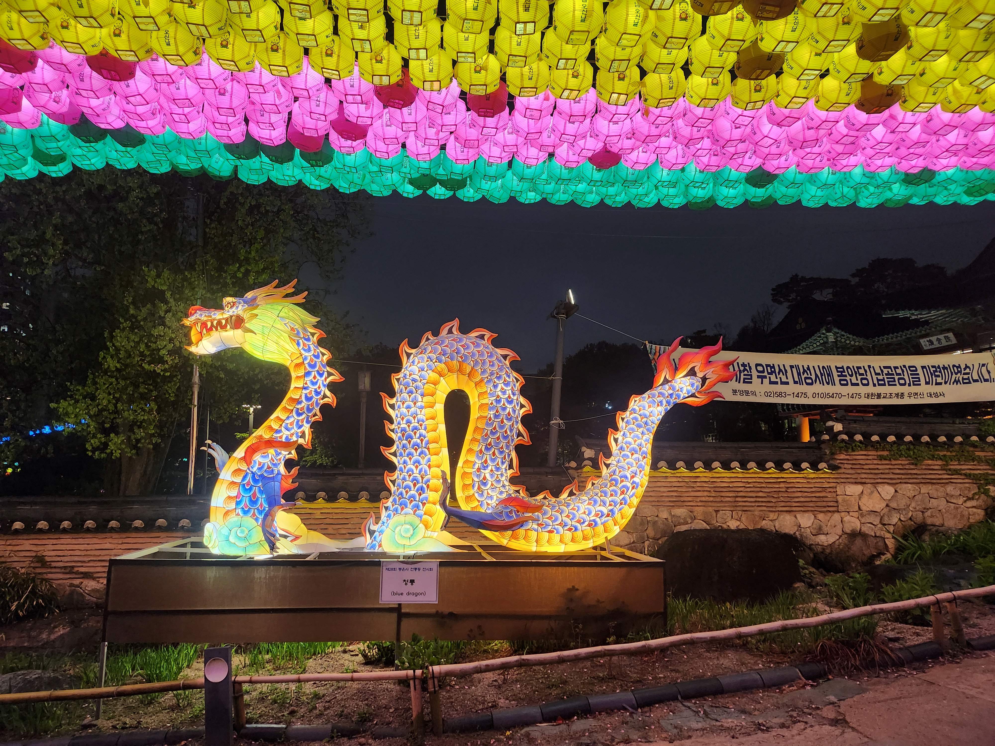 2025. 4. 19. 봉은사 연등제 야경 산책 후기 (겹벚꽃, 라일락, 홍매화 개화상황 포함)