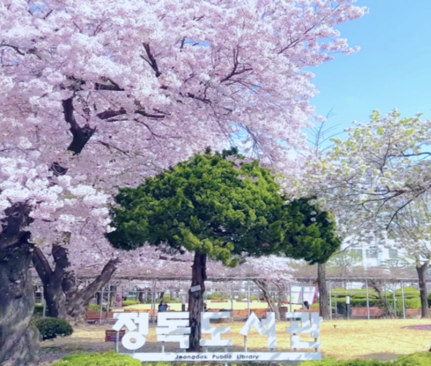 정독 도서관 인근