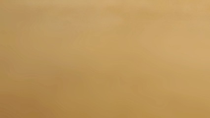 새싹이 크고있음