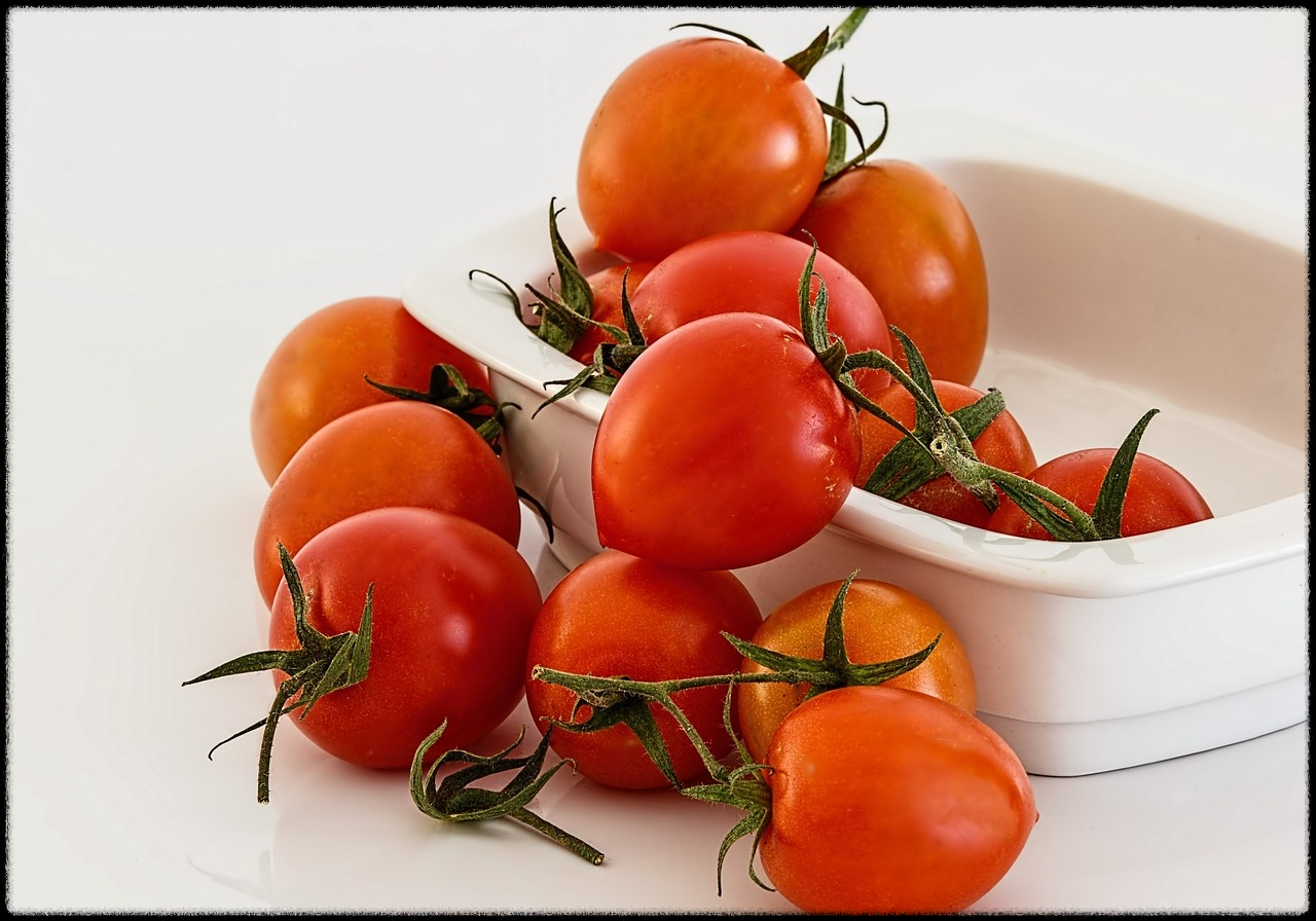 토마토 관련 이미지1