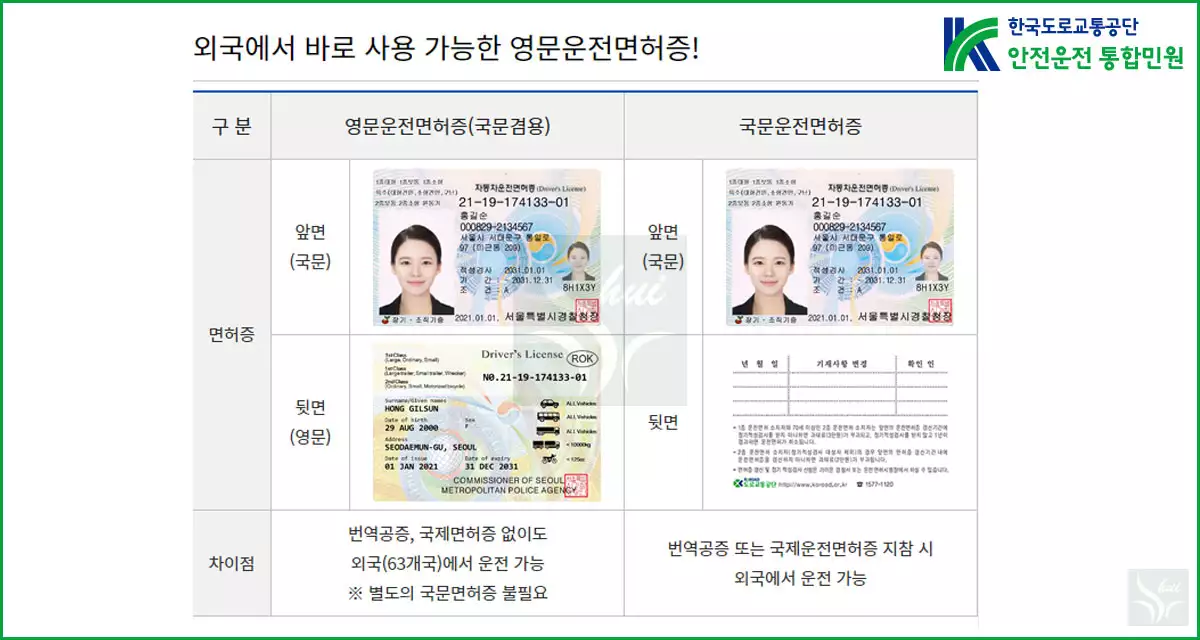 영문 국문 겸용 운전면허증